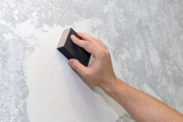 Best Comprehensive Air Testing for Mold Contaminants  in Florence, MS