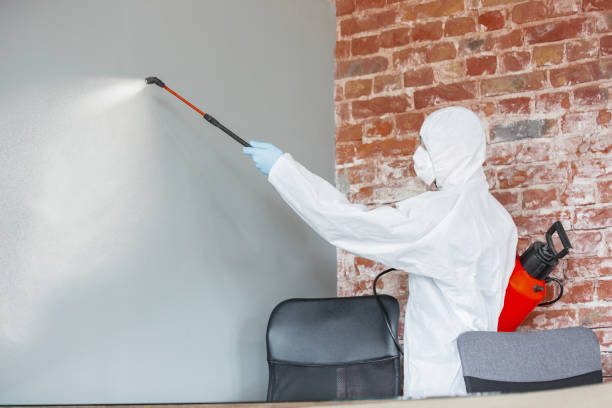 Best Attic Mold Removal  in Florence, MS