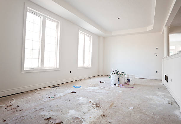 Best Basement Mold Removal  in Florence, MS