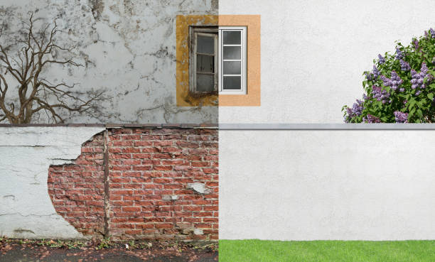 Best Attic Mold Removal  in Florence, MS