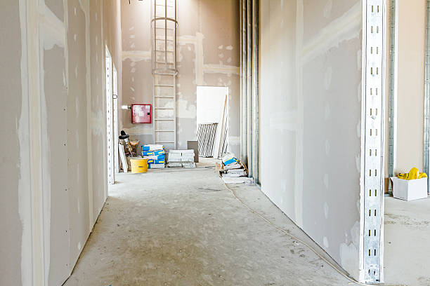Best Mold Remediation for Healthcare Facilities  in Florence, MS